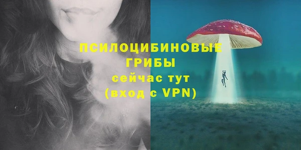 экстази Заводоуковск