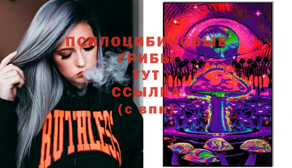 экстази Заводоуковск