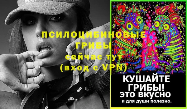 экстази Заводоуковск