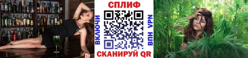 Канабис THC 21%  Зубцов 